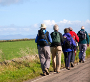 AUTOCARS DEL BERGUEDÀ Transport de col.lectius i Associacions